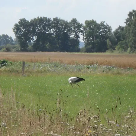 U Pana Zielonki * Rusinowo (Slawno)
